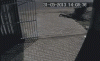 post-8926-0-33056300-1383544415_thumb.gif