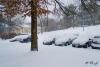 DSC_0019 (2).jpg