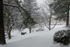 DSC_0014.jpg