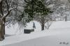 DSC_0018.jpg