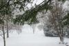 DSC_0030.jpg