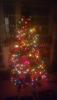 tree.jpg