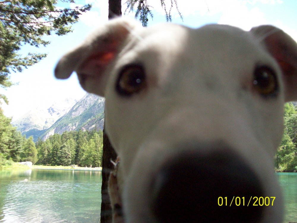 100_2012.thumb.JPG.2e385d06198be238df3fc21aefbc0ad8.JPG