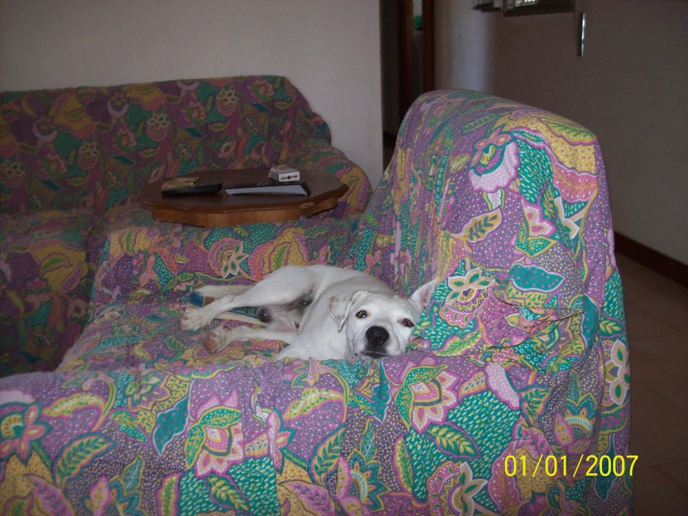 100_2040.thumb.JPG.492472db967363c158d7d50afb1b704d.JPG