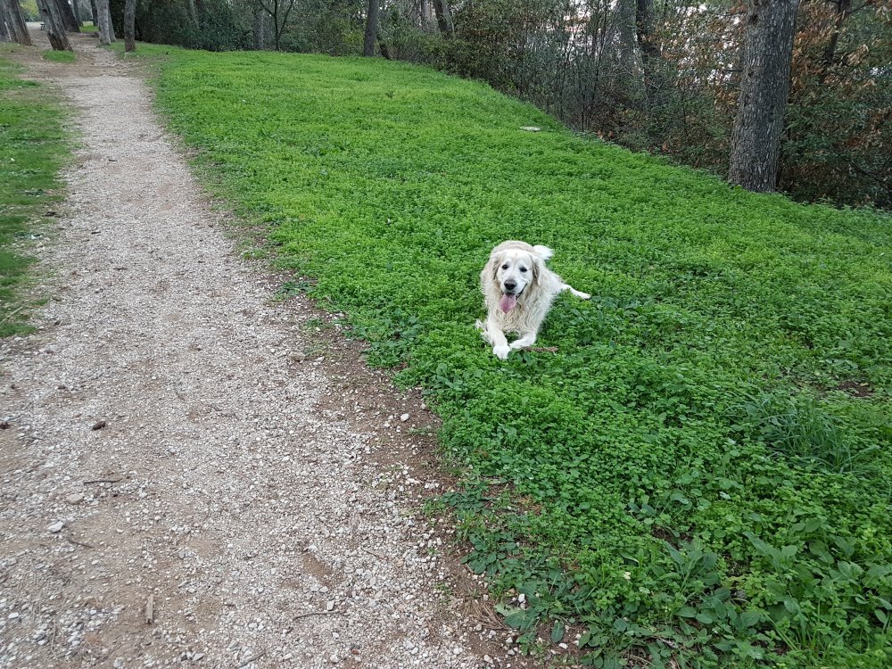 20171206_151937.jpg