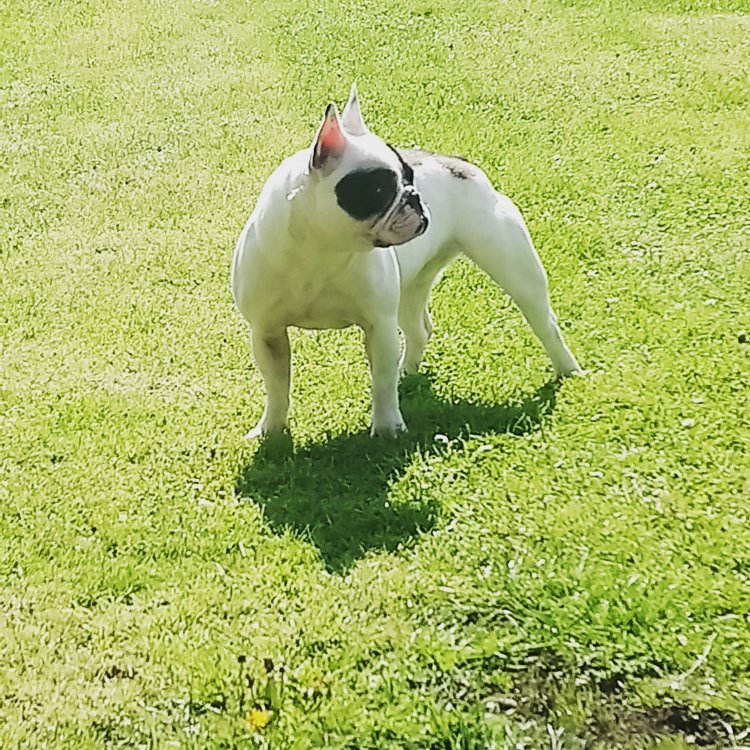 IMG_20180506_100101_061.jpg