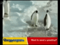 SpottedFoolishAegeancat-max-1mb.gif.ecdaa7dd20105f207caa81462bc4839a.gif