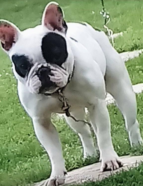 _20180522_001832.JPG