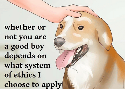 goodboyorisit.png.aa1e87d11530c0b838f5b8d949e32ba9.png