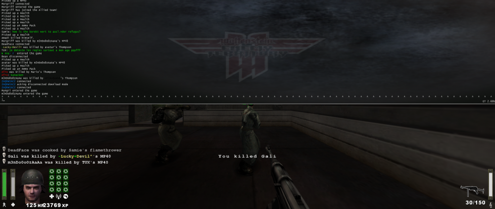 Wolfenstein  Enemy Territory Screenshot 2018.06.09 - 23.16.03.86.png