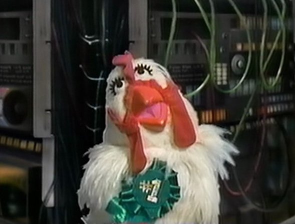 1264769627_Camillathemuppetchicken.jpg.8aa5d1dbe5a4a3f20de9a1786c800a7a.jpg
