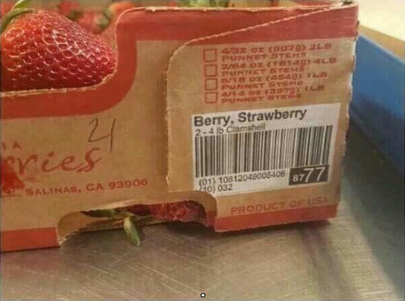 berrystrawberry.png.006c994d2a9b7c49d37775eb2257216e.png