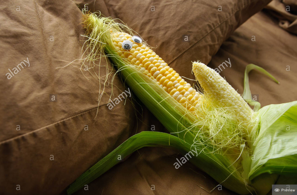 unknown.png