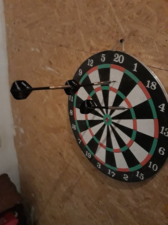 40684980_257464658438616_5199712456233975808_n.jpg