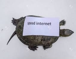 index.jpg.1c9749a64673ebd079484fcfcea215e8.jpg