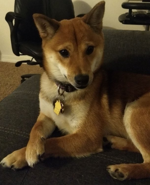 IMG-20190214-WA0005.jpeg