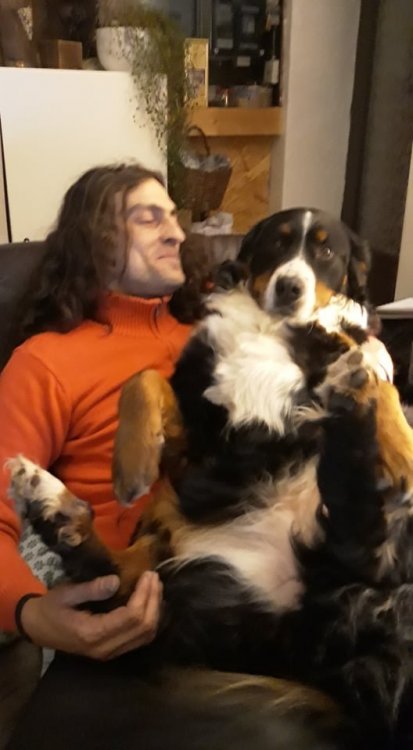 bouvier.jpg