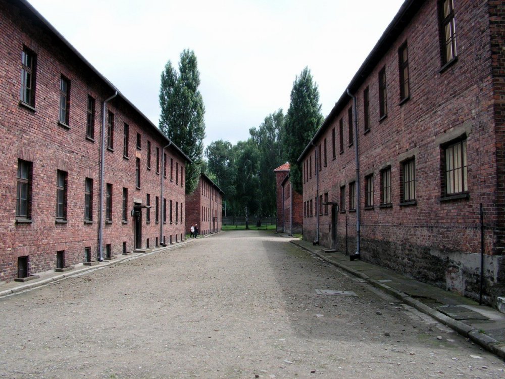 1.thumb.JPG.2cf07c0e122c7ebfcda8b5db73ad0bcd.JPG