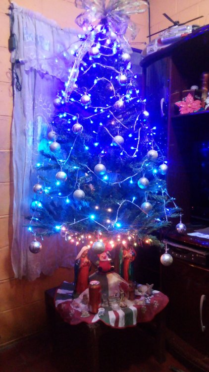 20191206_224415.jpg
