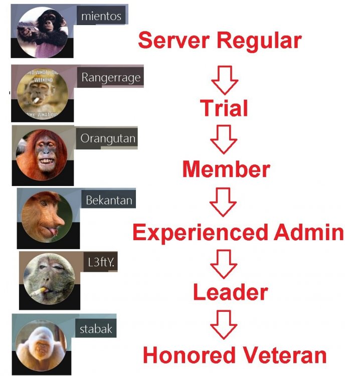 monkey.jpg
