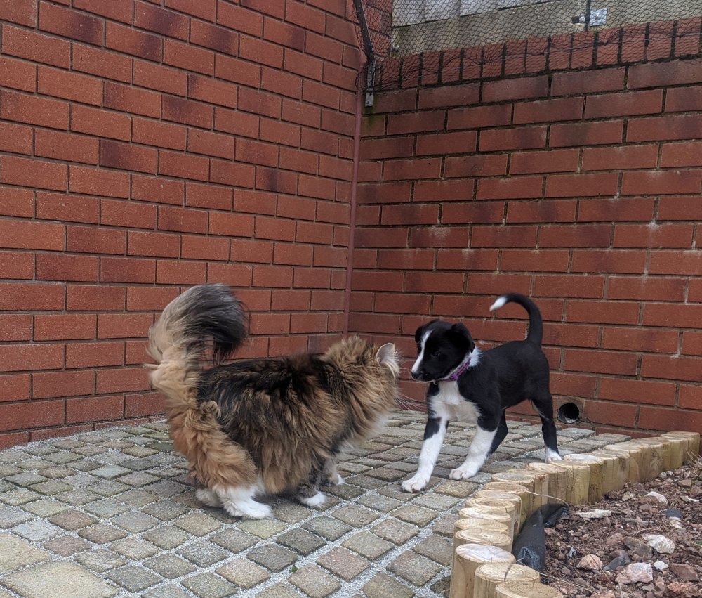 tia+zuki.jpg