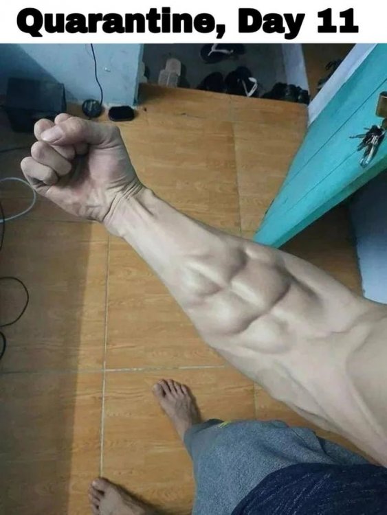 aY70GM0_700b.thumb.jpg.64f47b89eaa07897d8fbb994b0e20e67.jpg