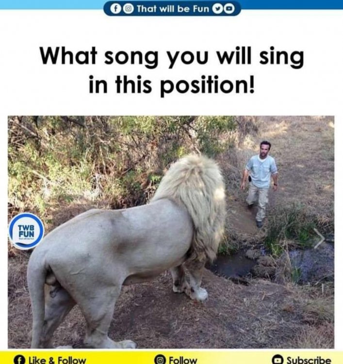 what song.jpg