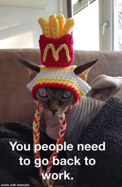 20F35272-4DC9-44E9-A73C-213B82F3E27A.jpeg