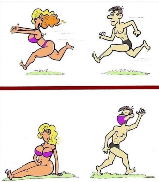 image.jpeg
