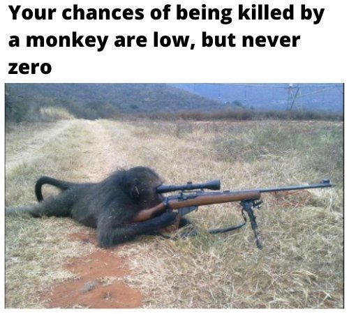 imageproxy.jpg.edf71e7902eed7f1653161cec8d52dab.jpg