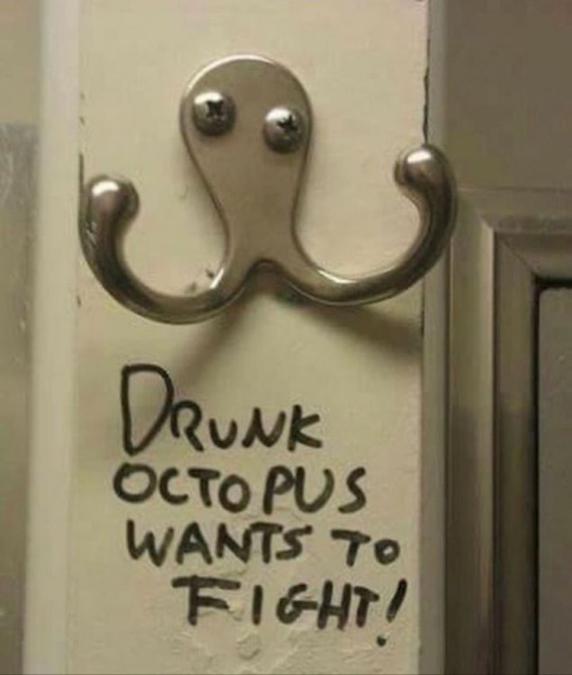 octo.jpg