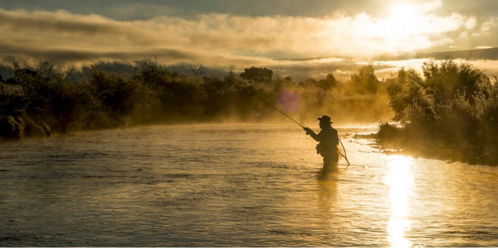 Fly-Fishing.thumb.jpg.4ea97251a2d55ae9b6c0cff84ef1b34e.jpg