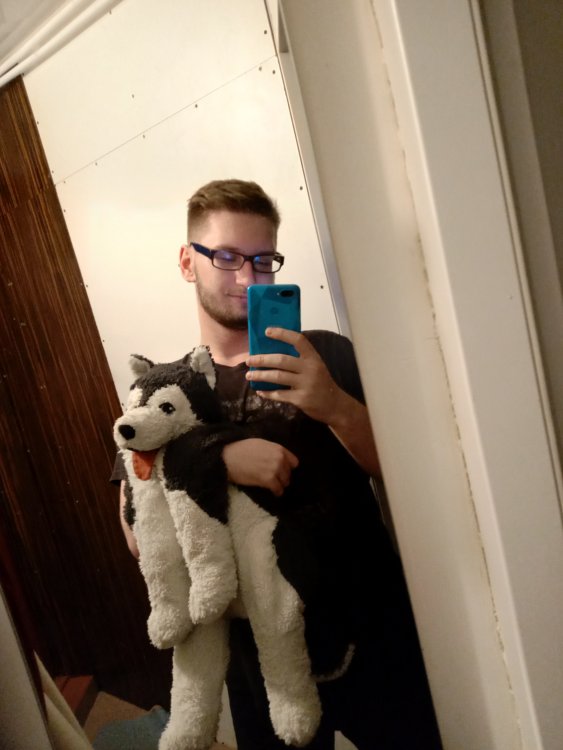 shane.jpg