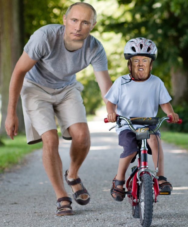 little-donald1.thumb.jpg.ad91f24a2ee905fb6023cffd801d5fc8.jpg