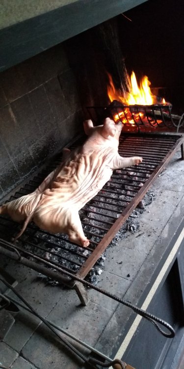 IMG-20201127-WA0048.jpeg