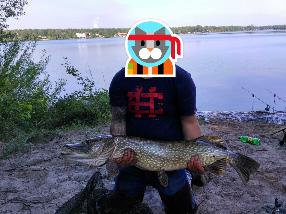 asdqwe.jpg
