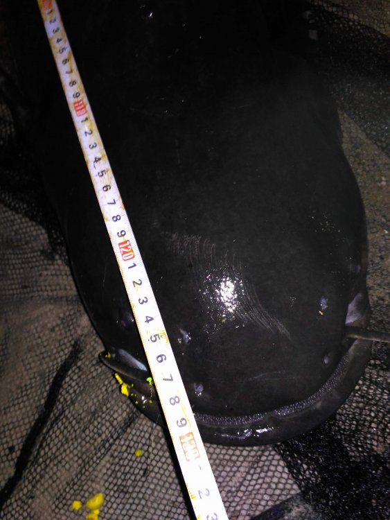 received_1964334580307798.jpeg