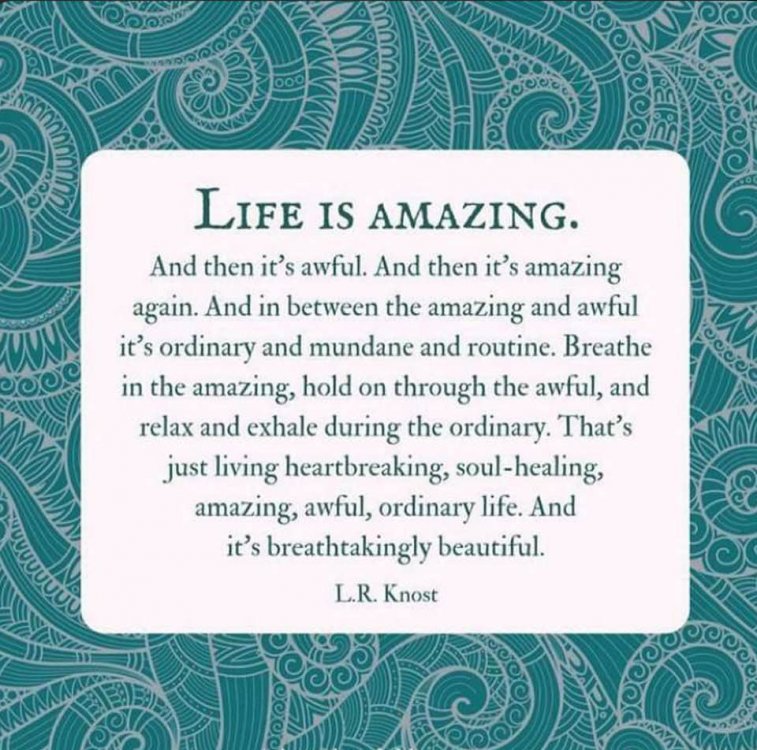 Life Is Amazing.jpg