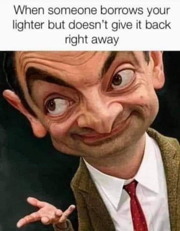 bean.jpg