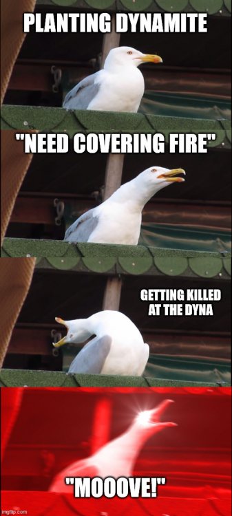 53rmd8.jpg