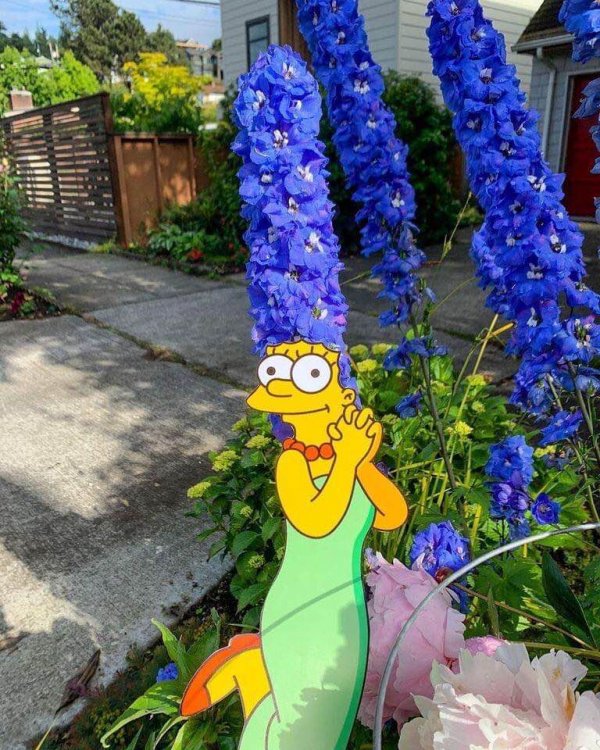 marge.thumb.jpg.efc67bd1e5dc6f9061be76292e2d6df3.jpg