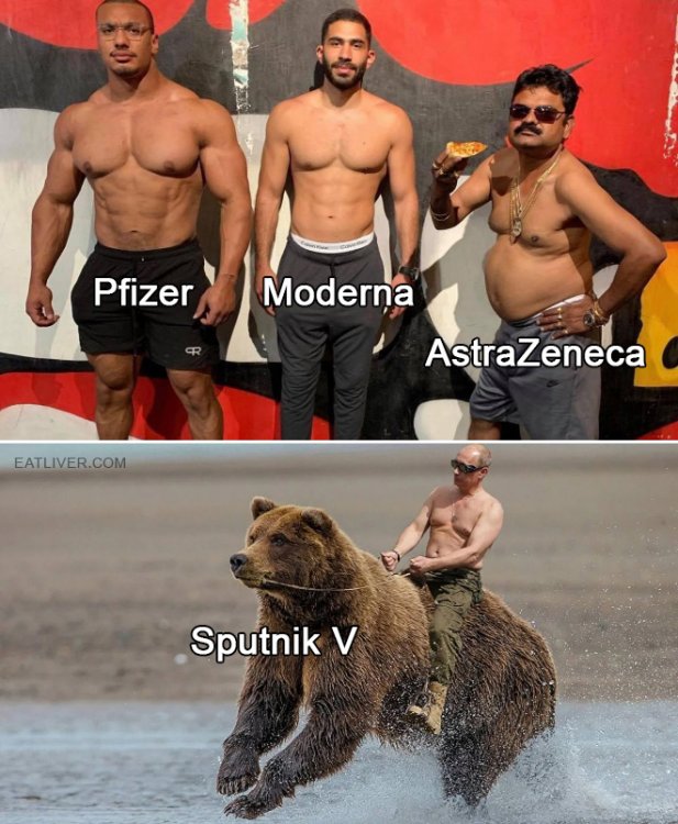 pfizer.jpg