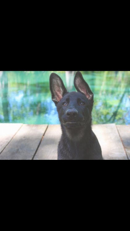 6D021477-B401-4C53-8E56-08EC97F0F79F.jpeg