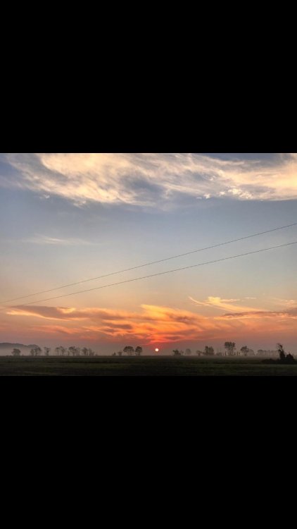 919342BB-637E-45D7-8034-F61C2807F1EB.jpeg