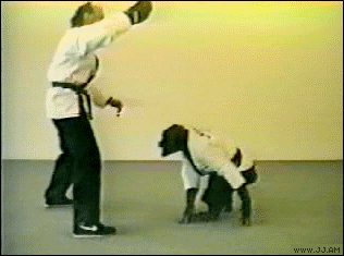 hWNwKIS.gif.5ffbc86776fef125c6f7f963bc00a4b9.gif