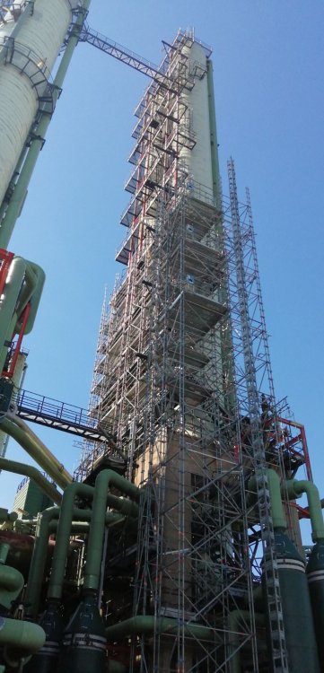 Scaffold.thumb.jpg.6a9d8d3f90e6a8b57dfb2a2911042e41.jpg
