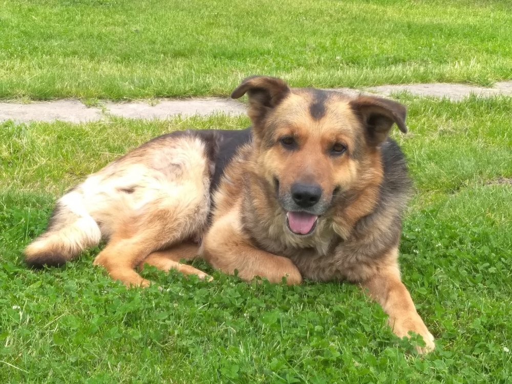 IMG_20210605_160757.thumb.jpg.78076d5bb3eba151ee2cca1064bca054.jpg