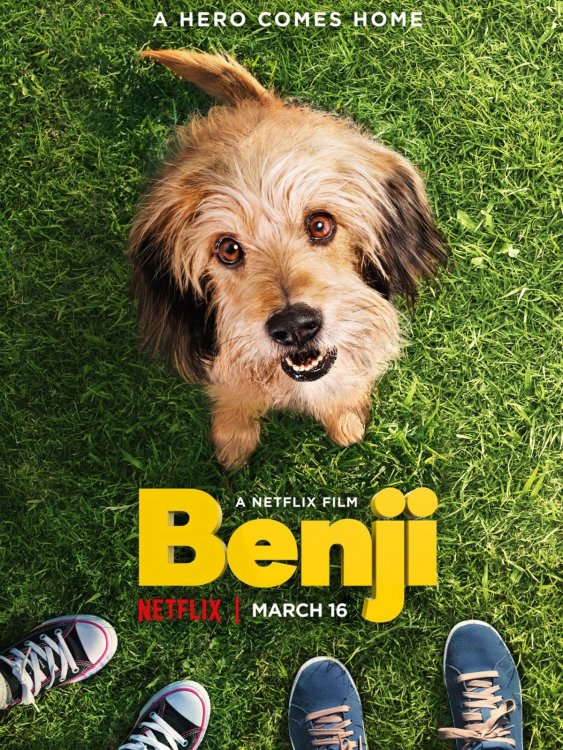 benji.jpg