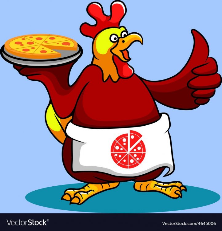 rooster-chef-pizza-vector-4645006.thumb.jpg.deb41d8b9f2fc4327a1a8762be4b80b7.jpg