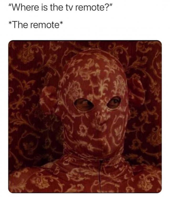 FB_IMG_1634471255136.thumb.jpg.b79006724d352bdb803bec2be0c30a2c.jpg